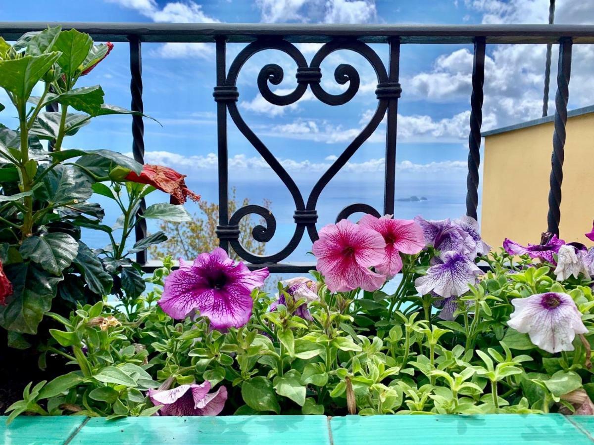 Hébergement de vacances Anna Positano